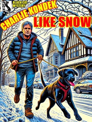 cover image of Like Snow